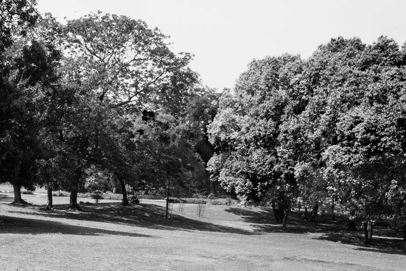 Integrated Solution for Urban Drinking Water Challenges - Lodhi Gardens - a green area in the heart of the city in New Delhi district, National Capital Territory of Delhi